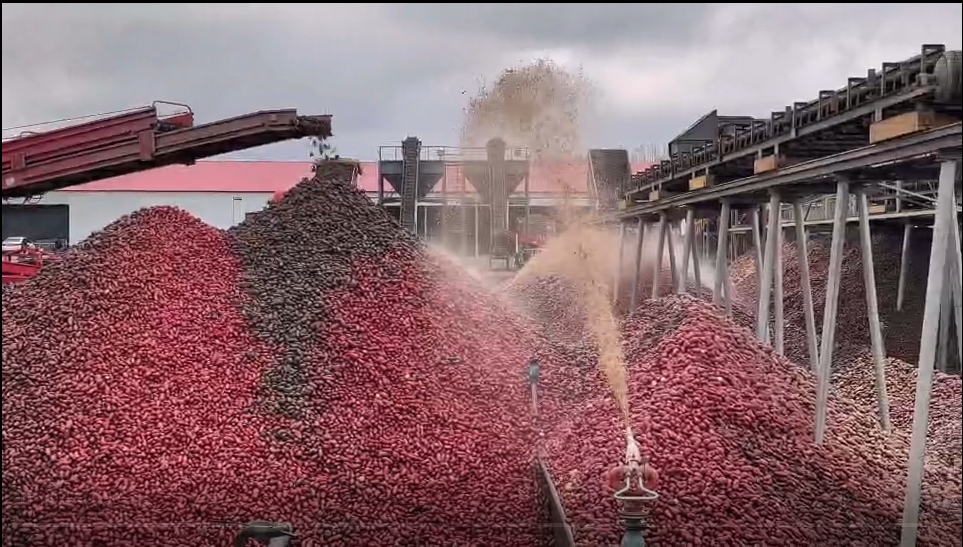Production site of Xinjiang Tianshan Sno