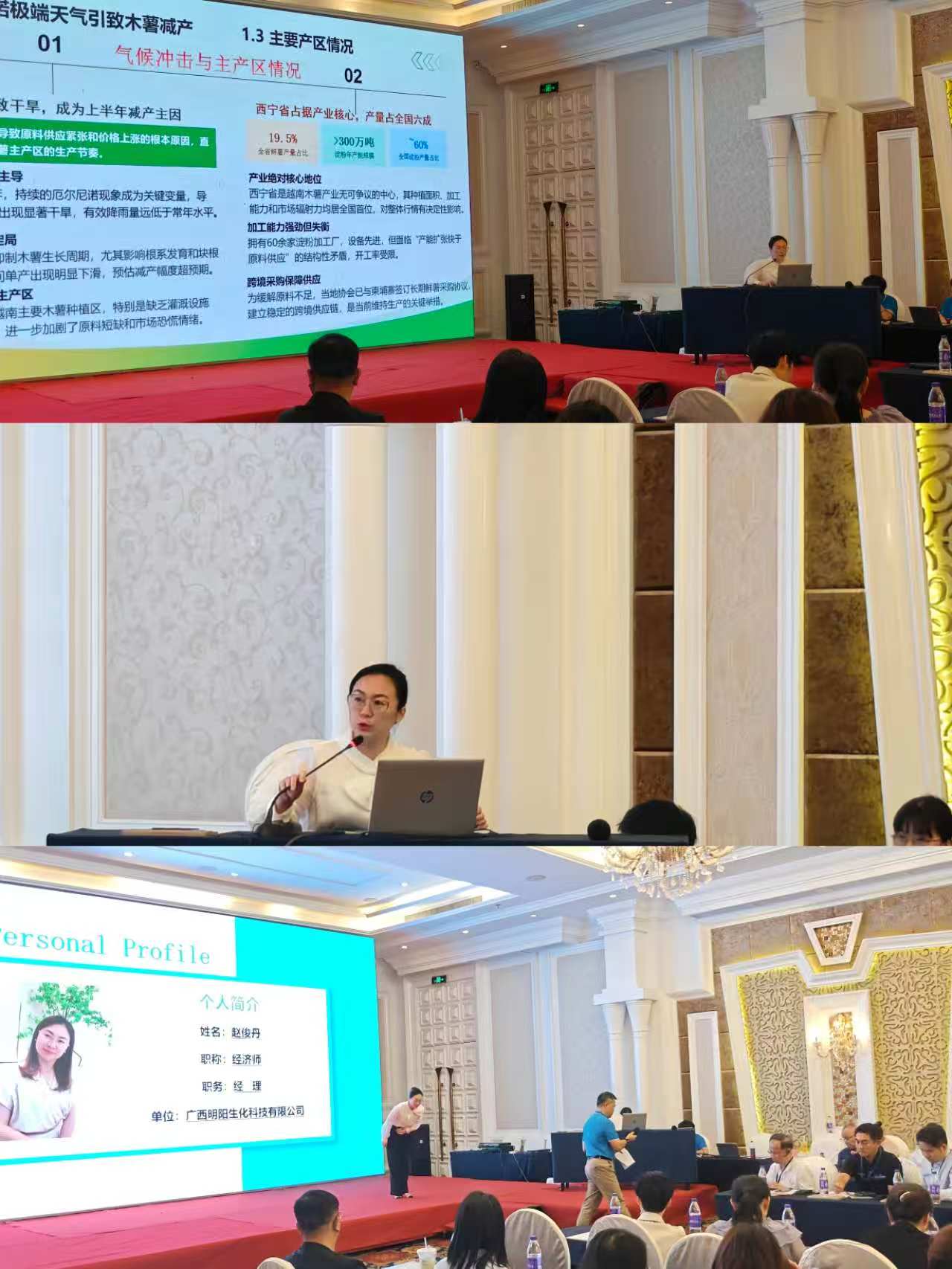 中国(桂林)2026薯类淀粉（变性淀粉）生产和市场国际高端研讨会